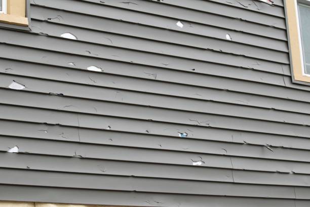 Reliable Exeter, CA Siding Services Solutions